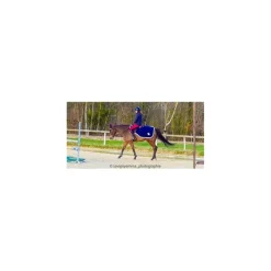 Equitheme Couvres-Reins><noscript><img width=