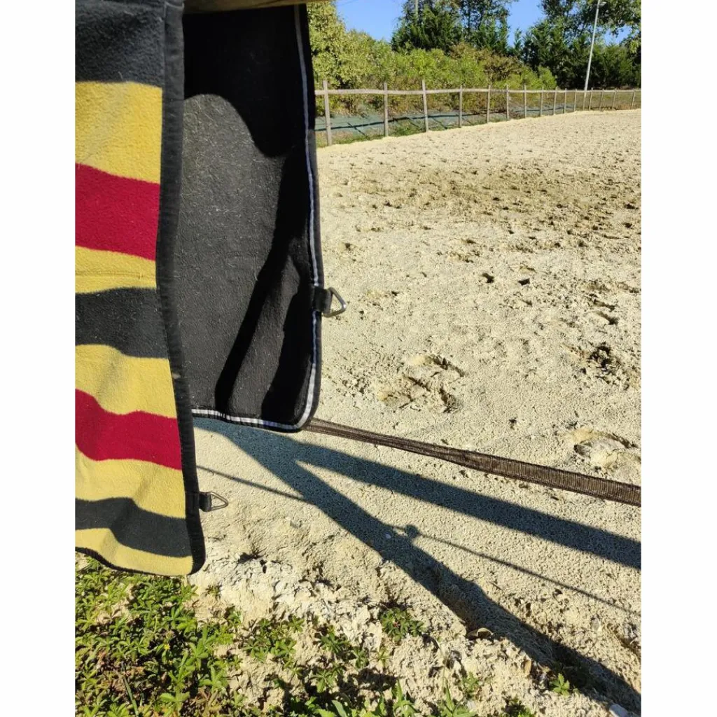 Couvre reins hosewear*Horseware Discount