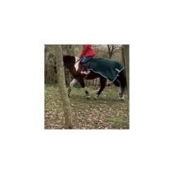 Felix Bhuler Couvres-Reins>Couvre reins vert forêt Félix Buhler
