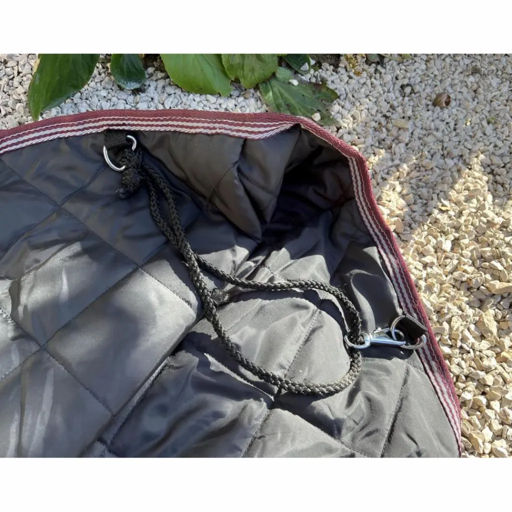 Tread stone Couvres-Reins>Couvre-rein