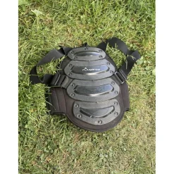 Dorsal*