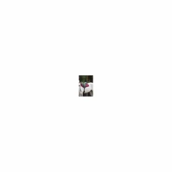 ⚠Ensemble bonnet et tapis*Kentucky New