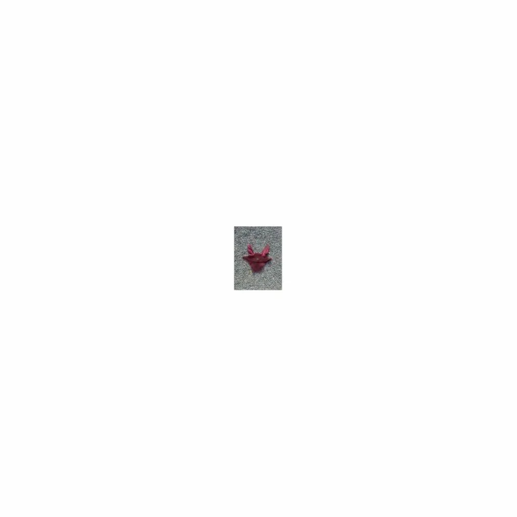 ⚠Ensemble bonnet et tapis*Kentucky New