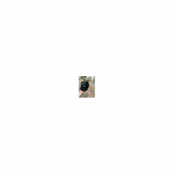 Horseware Travail><noscript><img width=
