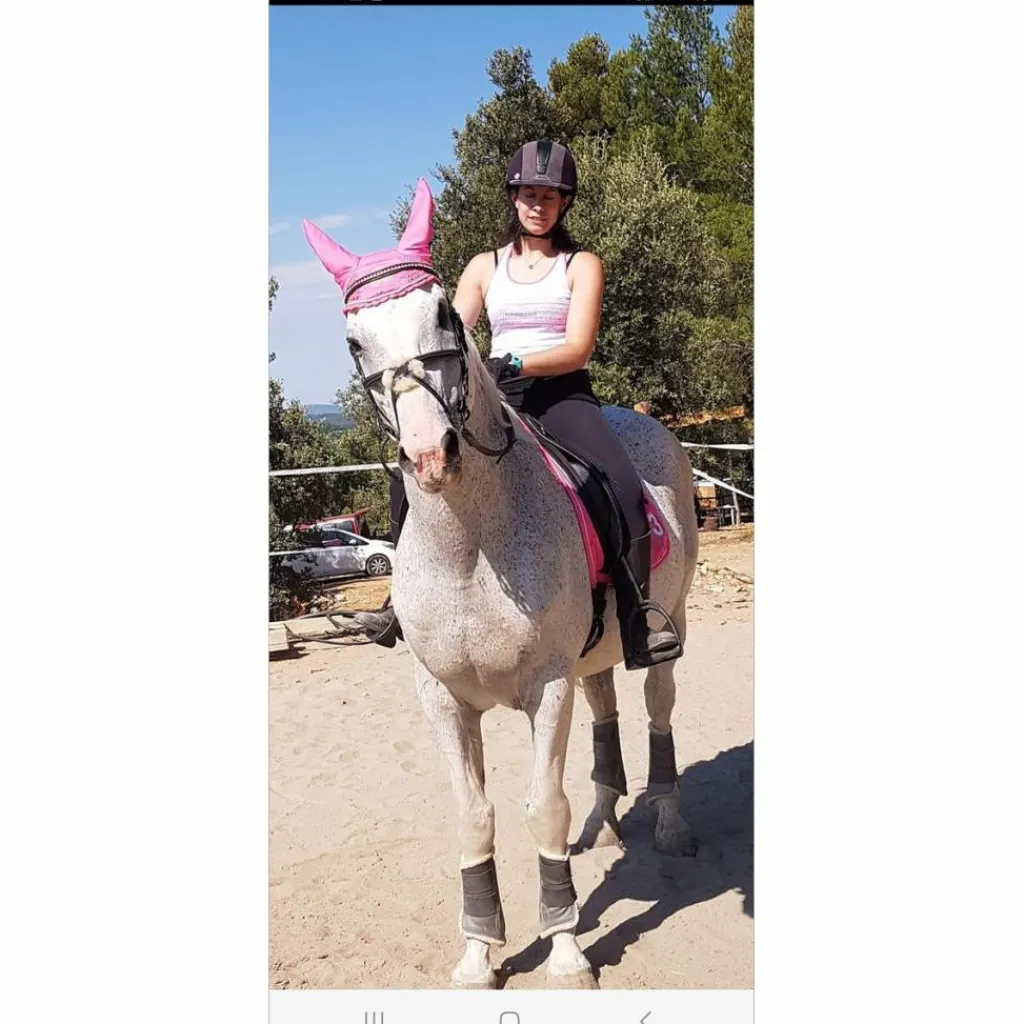 HV Polo Ensemble Tapis + Bonnet>Ensemble dressage rose tapis-bonnet-bandes
