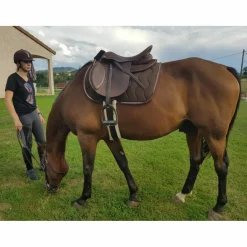 Equitheme Ensemble Tapis + Bonnet>Ensemble equi