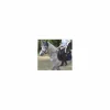 Ensemble*Harcour Online