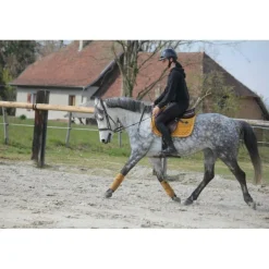 ensemble tapis bande*Kentucky Outlet