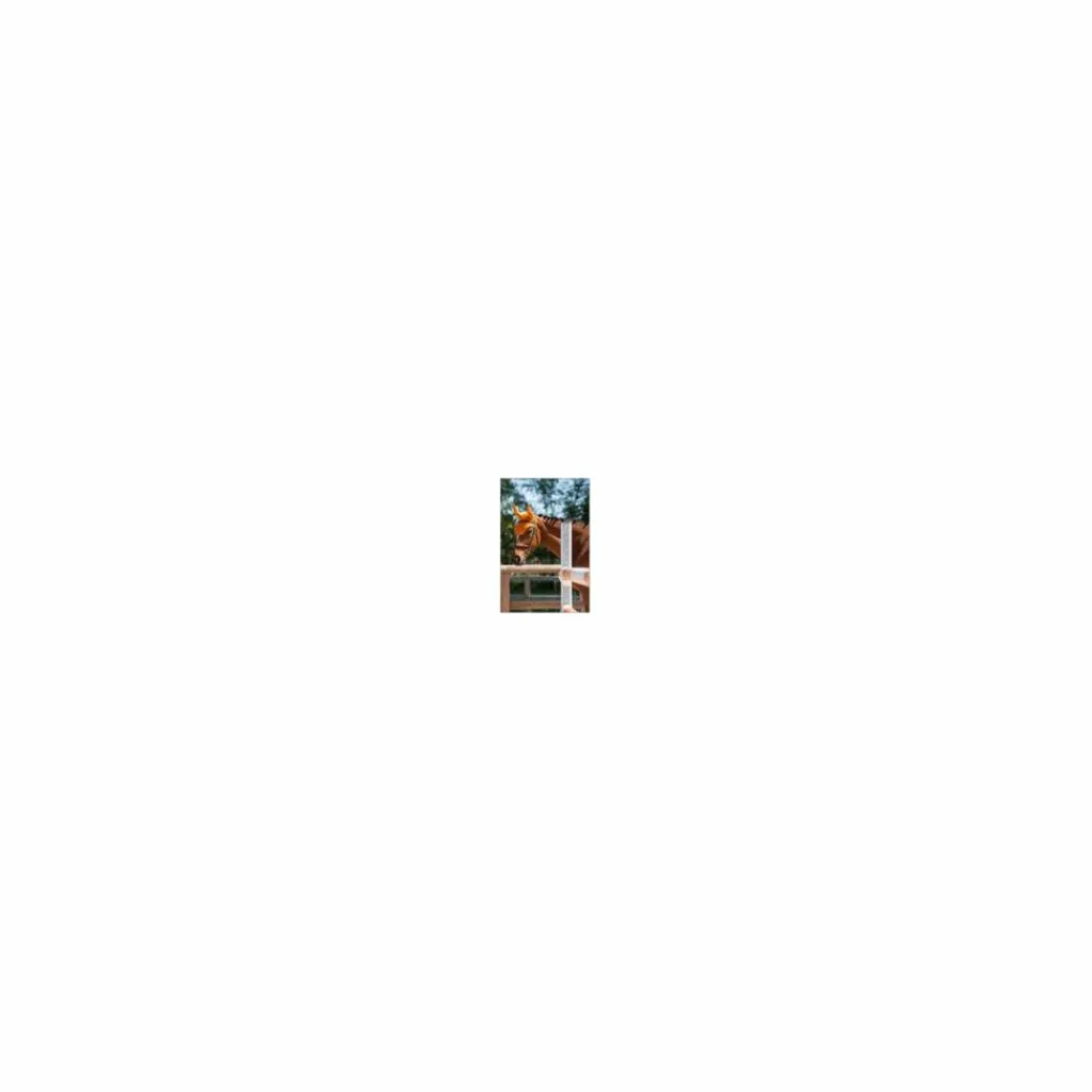 Penelope Leprevost Ensemble Tapis + Bonnet>⚠Ensemble tapis et bonnet ⚠