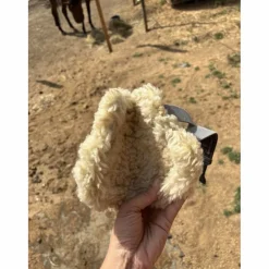 ensemble mouton M*Zandona Clearance