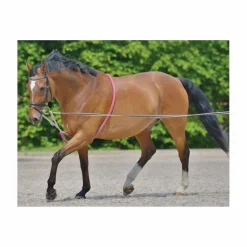 - Marque inconnue - Enrênements Pour Longer Et Longues-Rênes>Entraînement pour longe poney