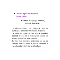 - Marque inconnue - Soin Du Cheval><noscript><img width=