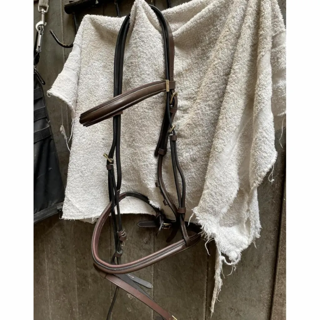 Filet*Equipe Sale