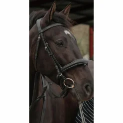 filet anatomique*Horze New