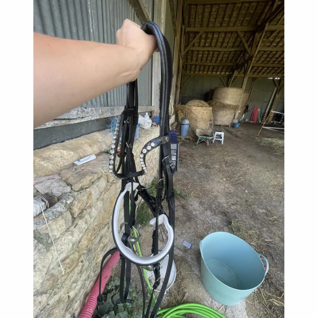 Norton Bridons - Filets>Filet dressage noir full