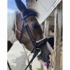Eric Thomas Bridons - Filets>Filet Work COB