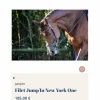 Jump'In Bridons - Filets>Filet Jump’In New York
