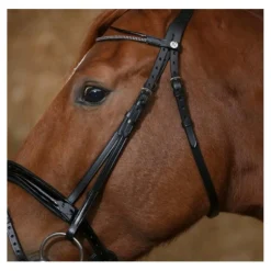 Norton Accessoires><noscript><img width=