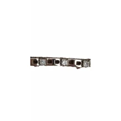 Protanner Accessoires>Frontal strass