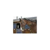 Gogue havane cheval*Riding World Discount