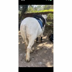 guetre cob/cheval*BR New