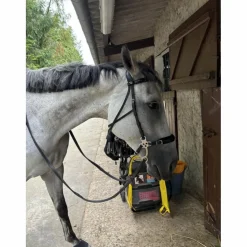 Hackamore Dyon*Dy'on Discount
