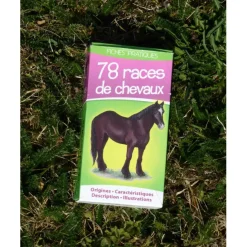 JEU DE CARTES SUR LES ROBES*- Marque inconnue -