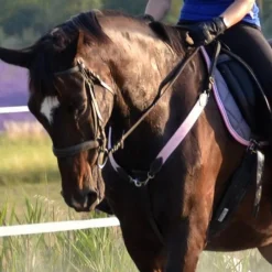 Eric Thomas Colliers De Chasse>Élastiques pour collier de chasse rose pâle