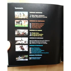 Livres>Les chevaux 1001 photos