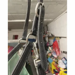 Felix Bhuler Licols Et Longes><noscript><img width=