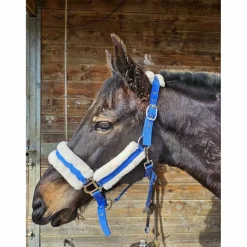 Norton Licols Et Longes><noscript><img width=