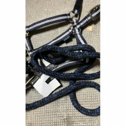 Norton Licols Et Longes><noscript><img width=