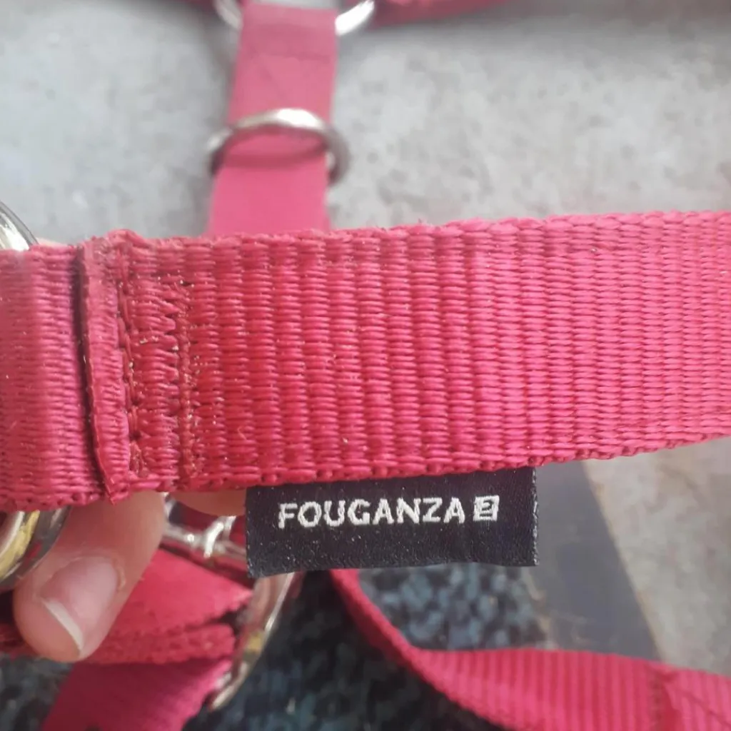 Fouganza Licols Et Longes>Licol + longe