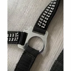 Decathlon Licols Et Longes>licol à strass décathlon taille cheval