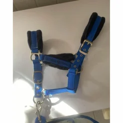 Licol Bleu*Fouganza New