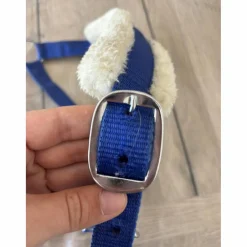 Licol bleu*Norton Discount