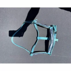 licol bleu*Fouganza Best