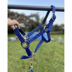 - Marque inconnue - Licols Et Longes>Licol bleu