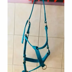 Fouganza Licols Et Longes>licol bleu