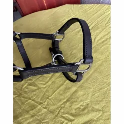 Licol cuir foal/poulain*- Marque inconnue - Sale