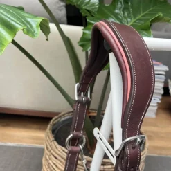 Licol d’écurie*CWD Clearance