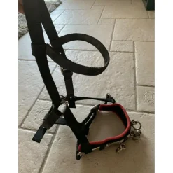 - Marque inconnue - Enrênements Pour Longer Et Longues-Rênes>Licol de longe