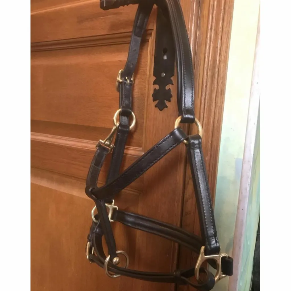 Shire Licols Et Longes>Licol en cuir