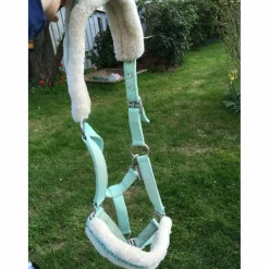 - Marque inconnue - Licols Et Longes><noscript><img width=