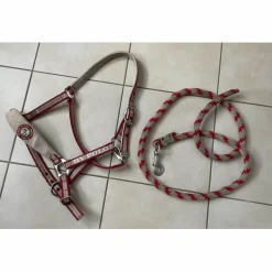licol et longe taille cheval Happy Valley Polo*HV Polo Sale
