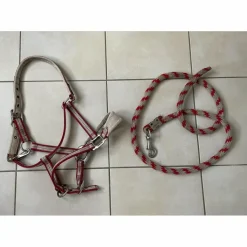 licol et longe taille cheval Happy Valley Polo*HV Polo Sale