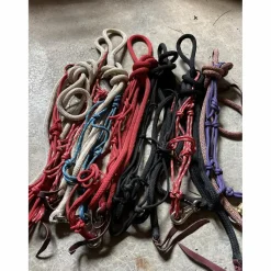 Licol et Longe éthologique Brockamp*- Marque inconnue - Clearance