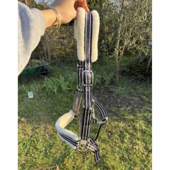 Felix Bhuler Licols Et Longes>licol Felix Bühler