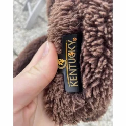 Kentucky Licols Et Longes><noscript><img width=