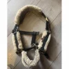 licol poney*Kentucky Clearance